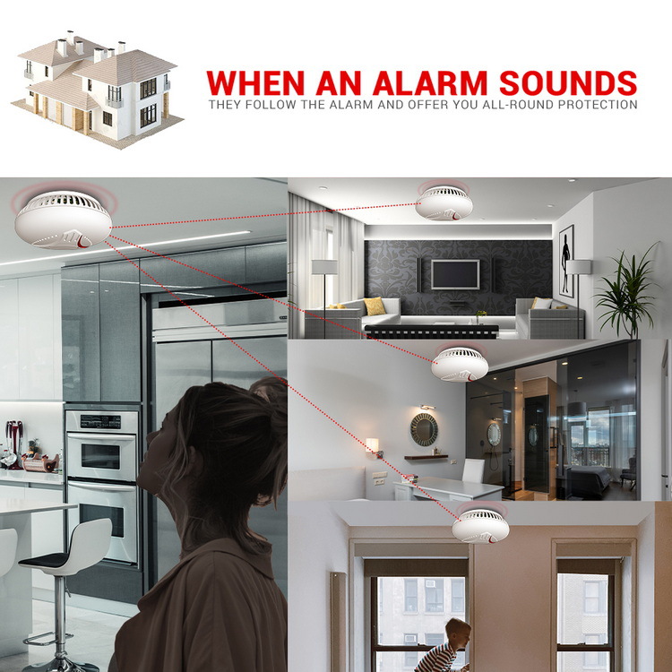 Australia, Europa, rilevatori  - Smoke Detector Interconnected recensione e prezzo
