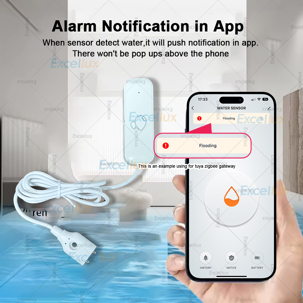 Sensore Intelligente Zigbee pe - Water Alarm Sensor recensione e prezzo